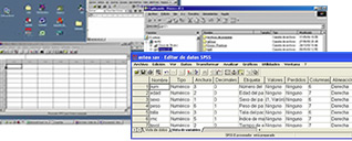 paquete estadístico SPSS,